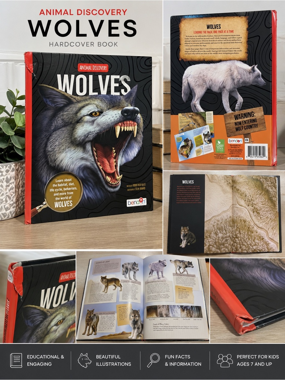 Animal Discovery Wolves Hardcover Book Bendon Robin Hood Black Illustrated Kids
